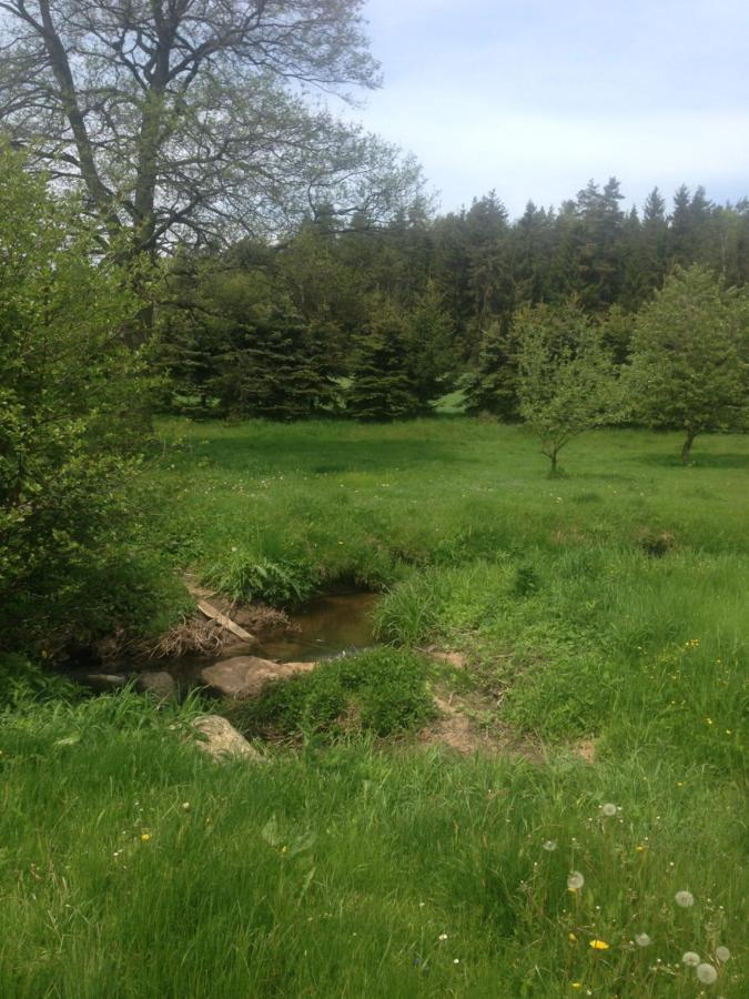 Forest Paradise Stružná Екстериор снимка