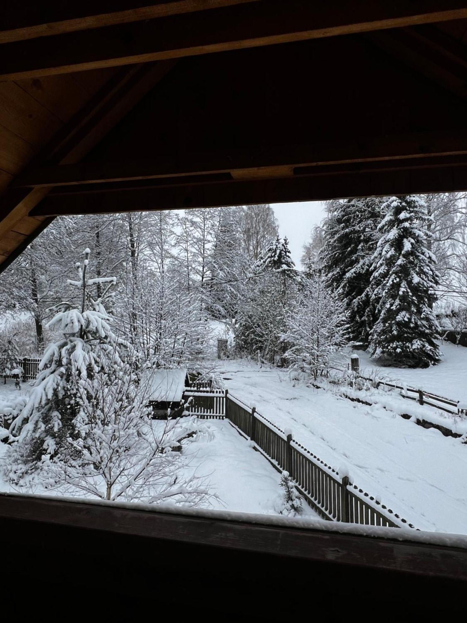 Forest Paradise Stružná Екстериор снимка