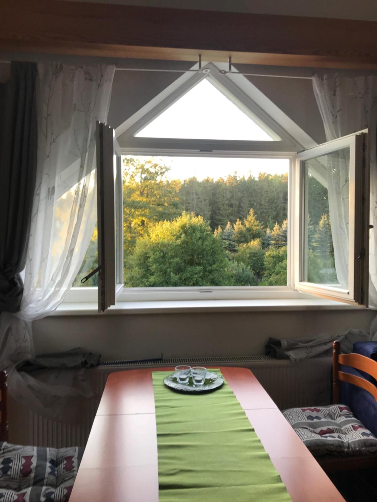 Forest Paradise Stružná Екстериор снимка