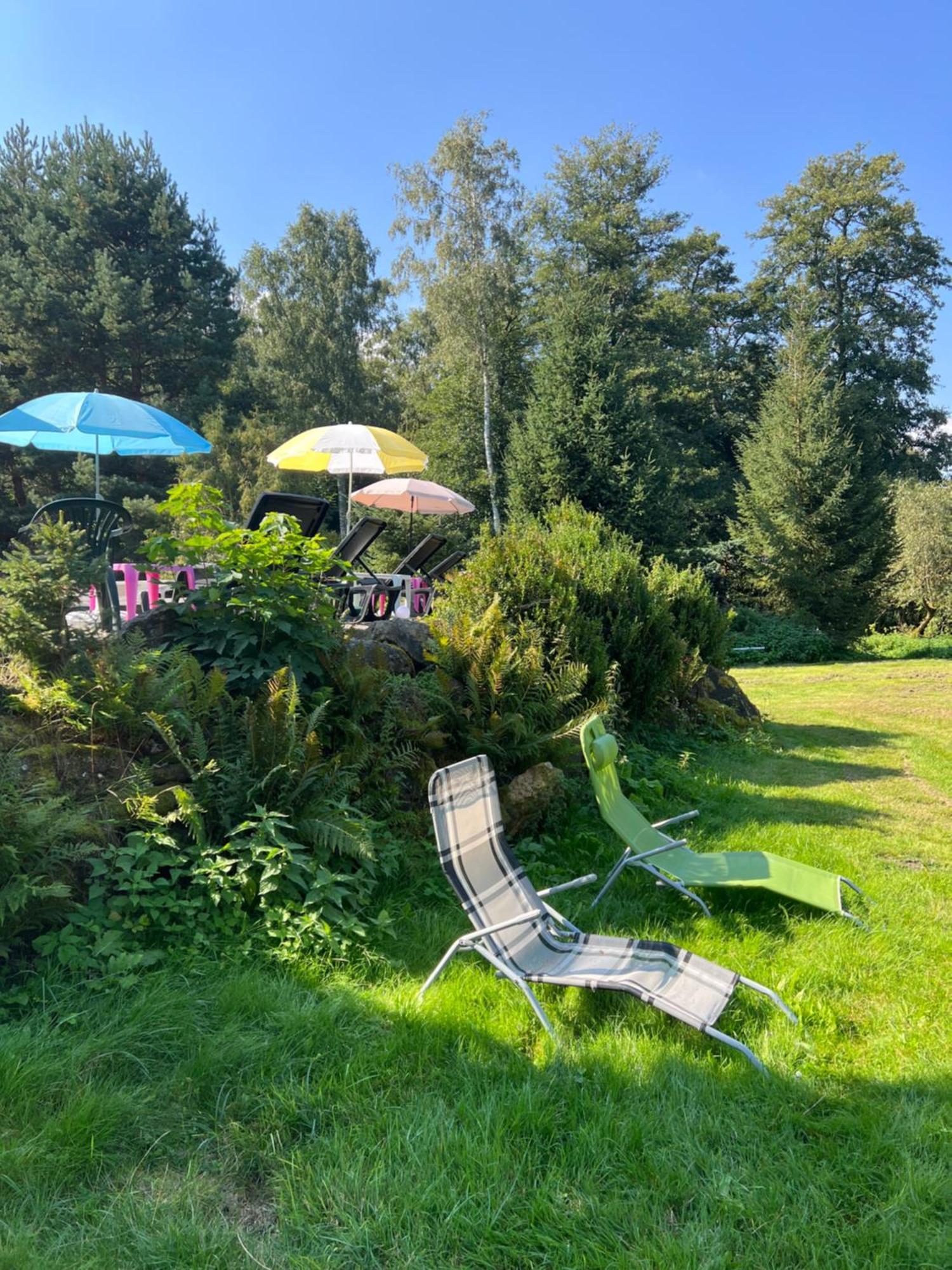 Forest Paradise Stružná Екстериор снимка
