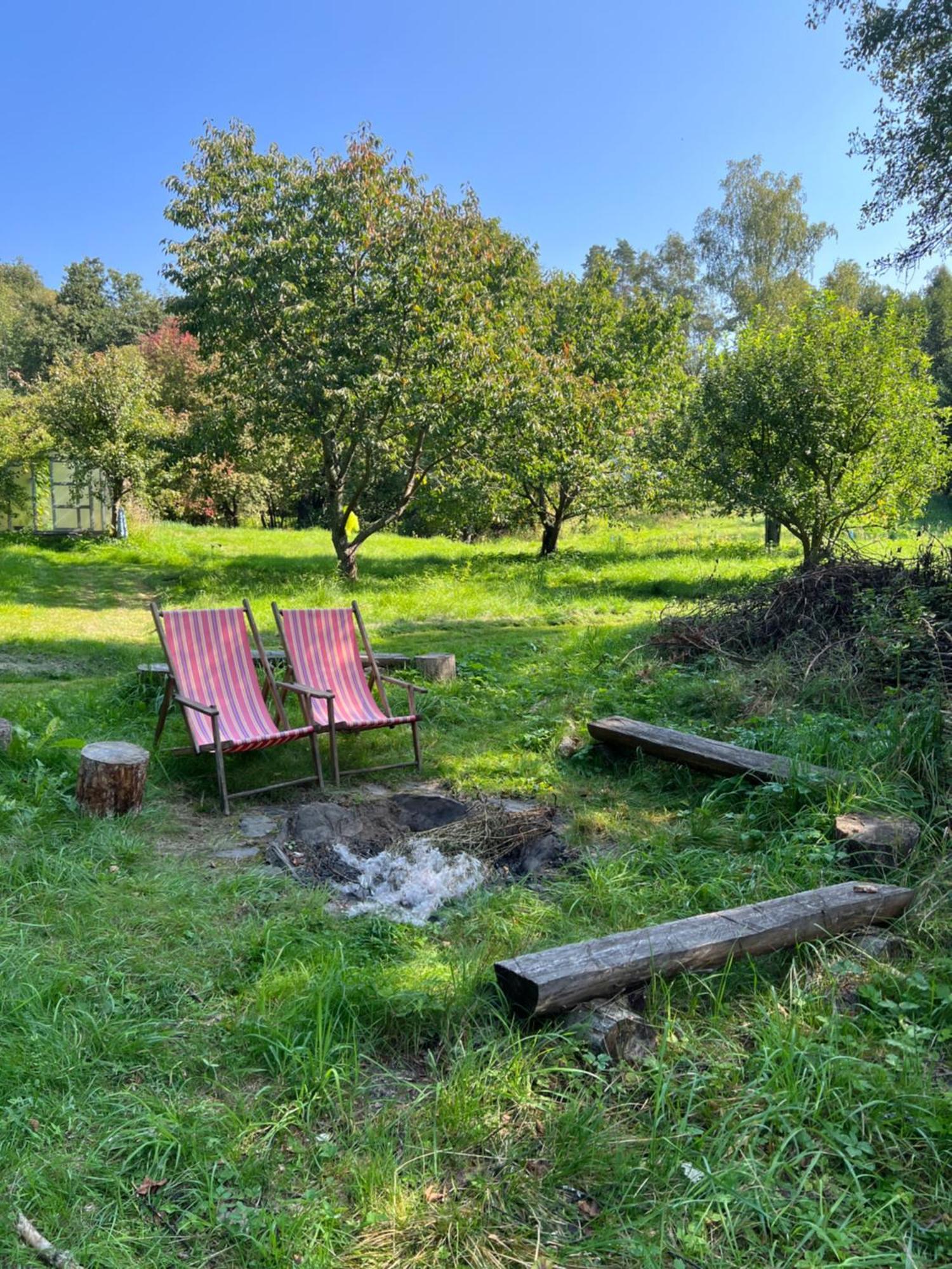 Forest Paradise Stružná Екстериор снимка