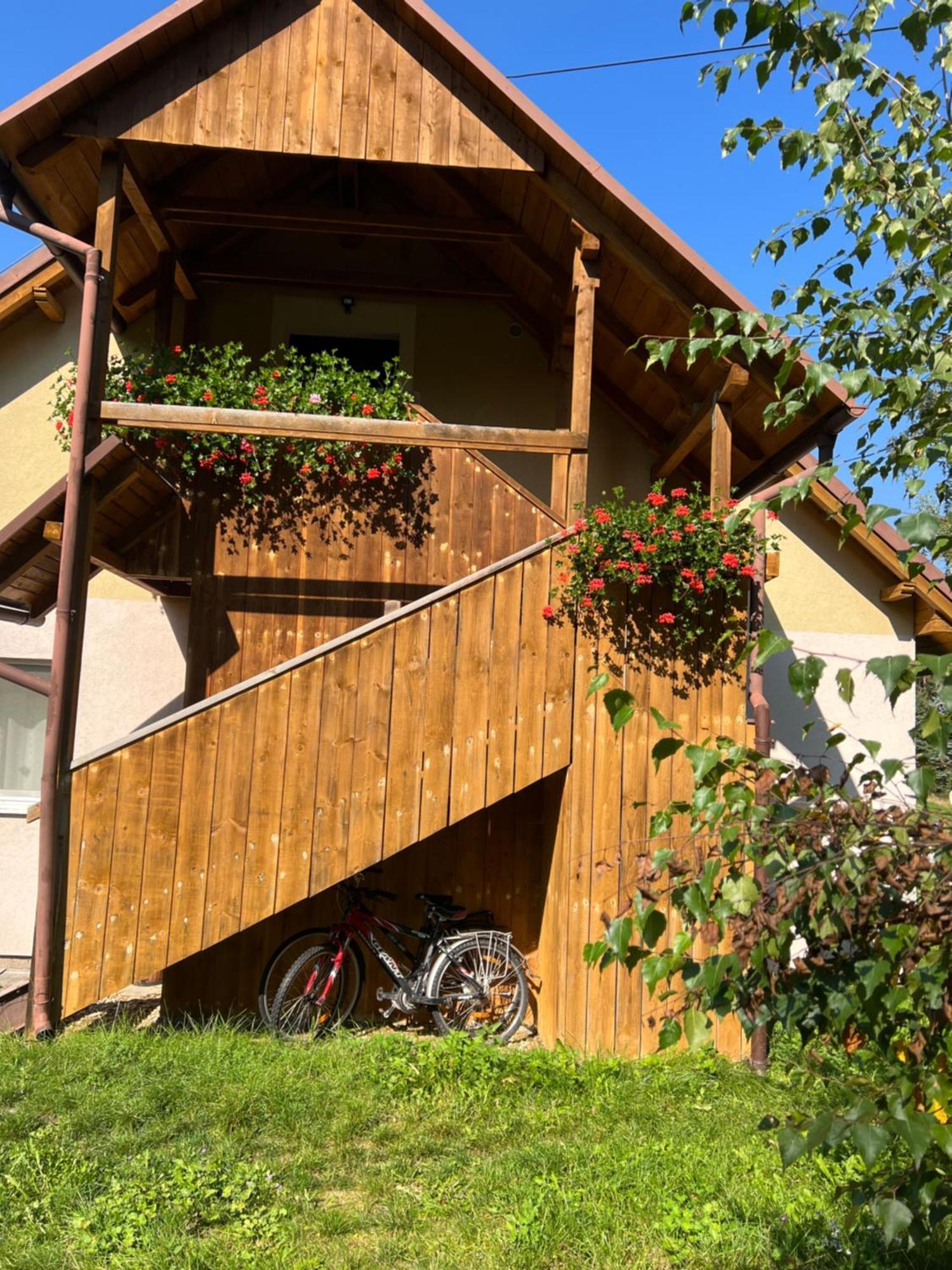 Forest Paradise Stružná Екстериор снимка